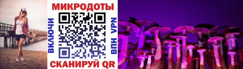 Псилоцибиновые грибы Cubensis  мега tor  Комсомольск 